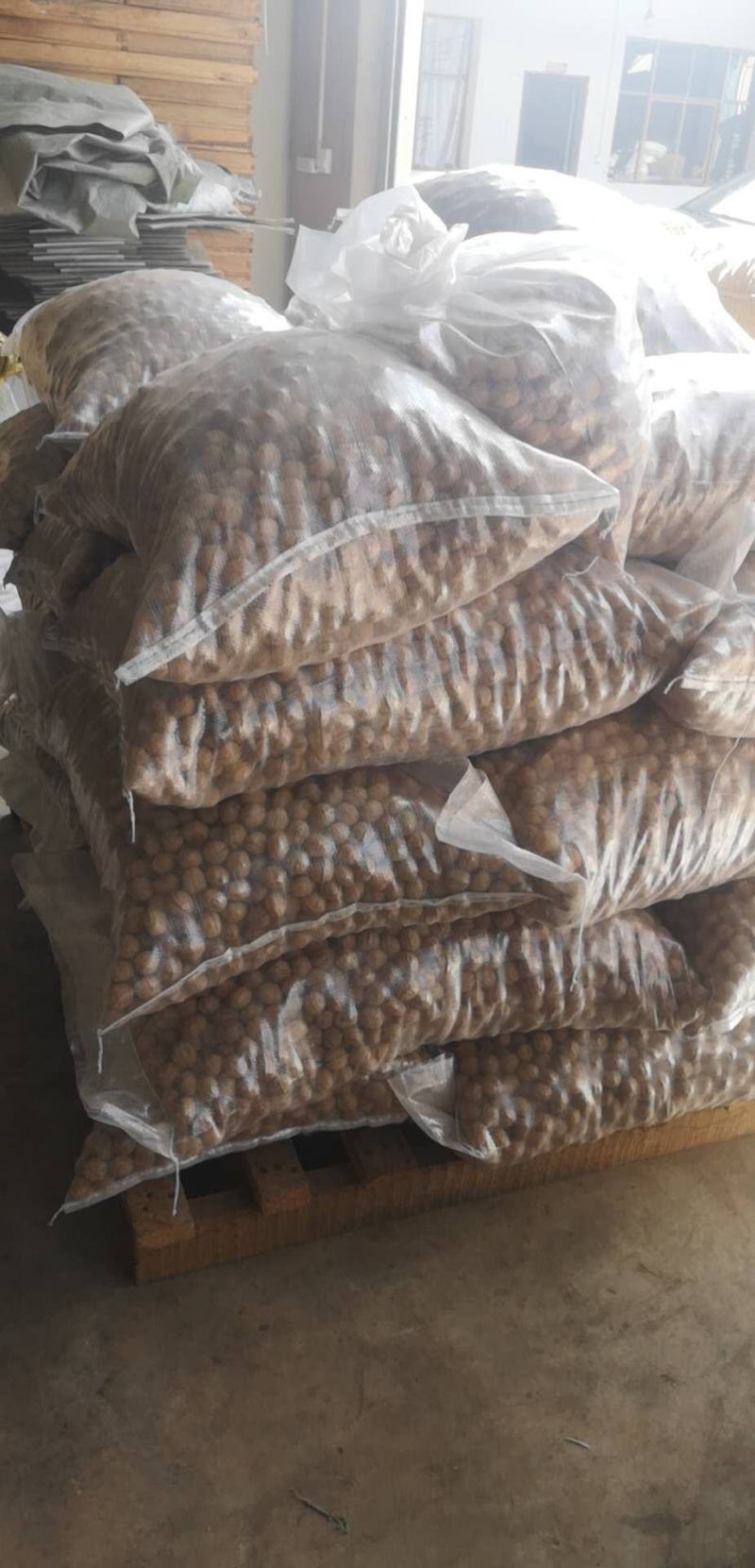 古树核桃云南核桃皮薄果仁饱满新鲜核桃（送开果器）
