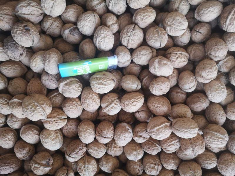 古树核桃云南核桃皮薄果仁饱满新鲜核桃（送开果器）