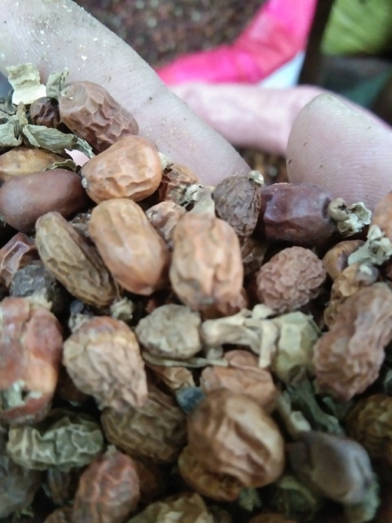 红豆蔻，香料，火锅底料，大量上市，批发零售