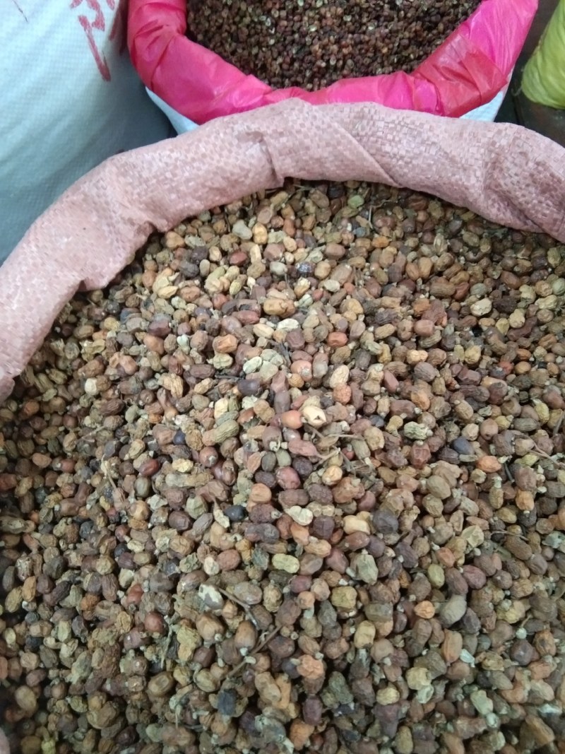 红豆蔻，香料，火锅底料，大量上市，批发零售