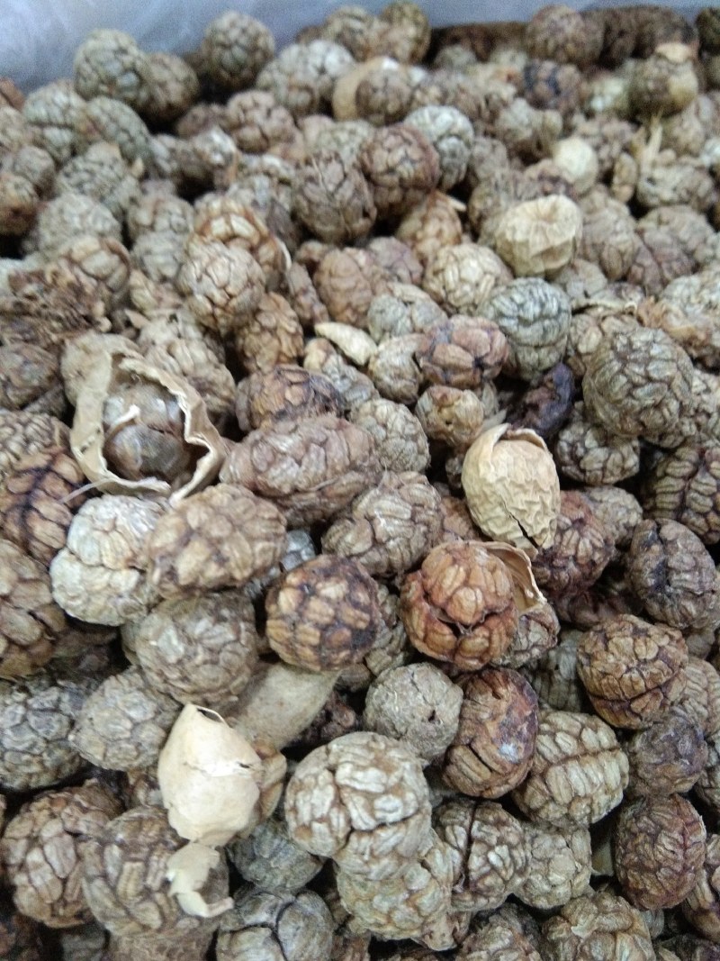 草蔻，草豆蔻，广西草蔻，香料，卤料，火锅底料，批零谦营
