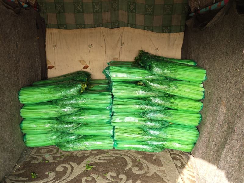 代收各种蔬菜，诚信经营，