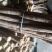 中药材黄芪棒产地直销北芪棒无水洗无硫熏包邮价
