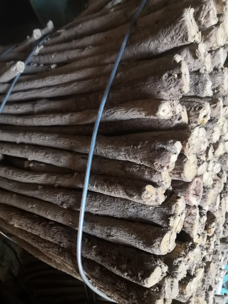 中药材黄芪棒产地直销北芪棒无水洗无硫熏包邮价