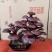 基地直供灵芝盆景，吉祥如意，一手货源，一次合作，终身朋友