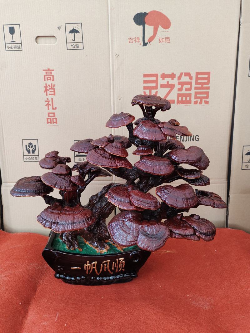 基地直供灵芝盆景，吉祥如意，一手货源，一次合作，终身朋友