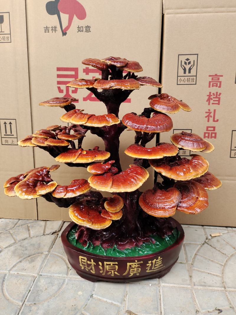 基地直供灵芝盆景，吉祥如意，一手货源，一次合作，终身朋友