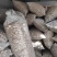 干香菇基地直销保质保量