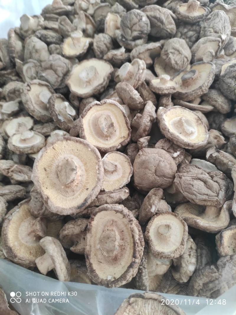 干香菇基地直销保质保量