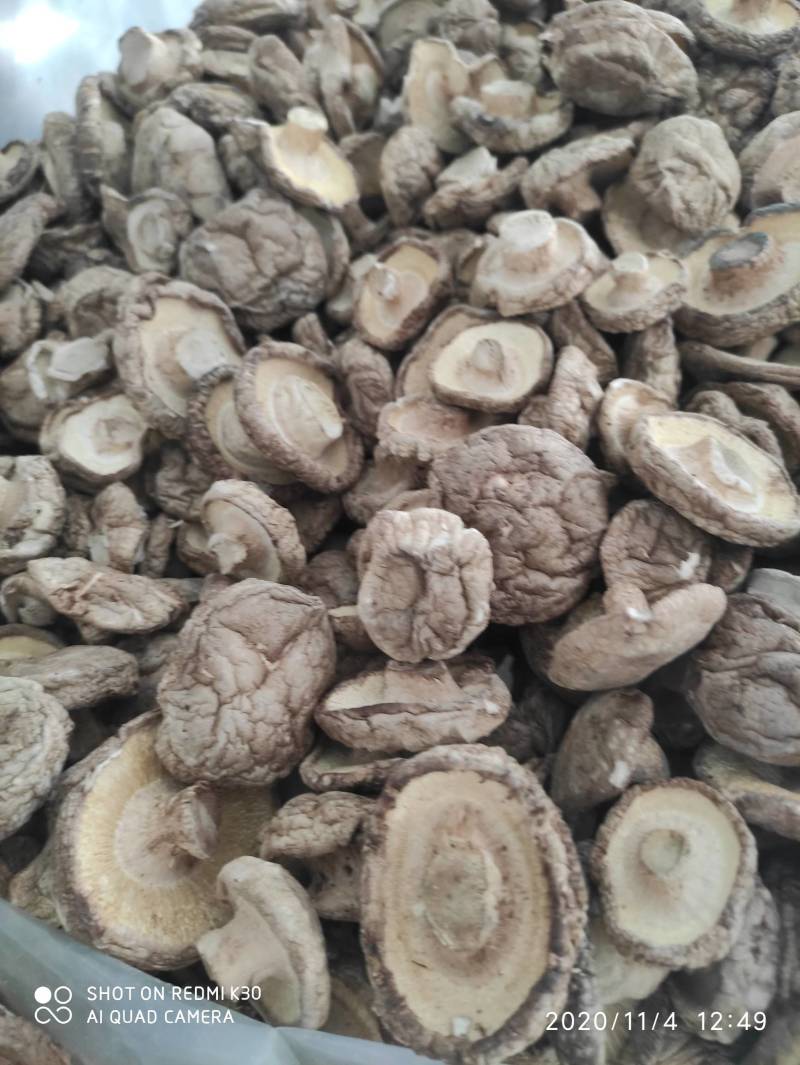 干香菇基地直销保质保量