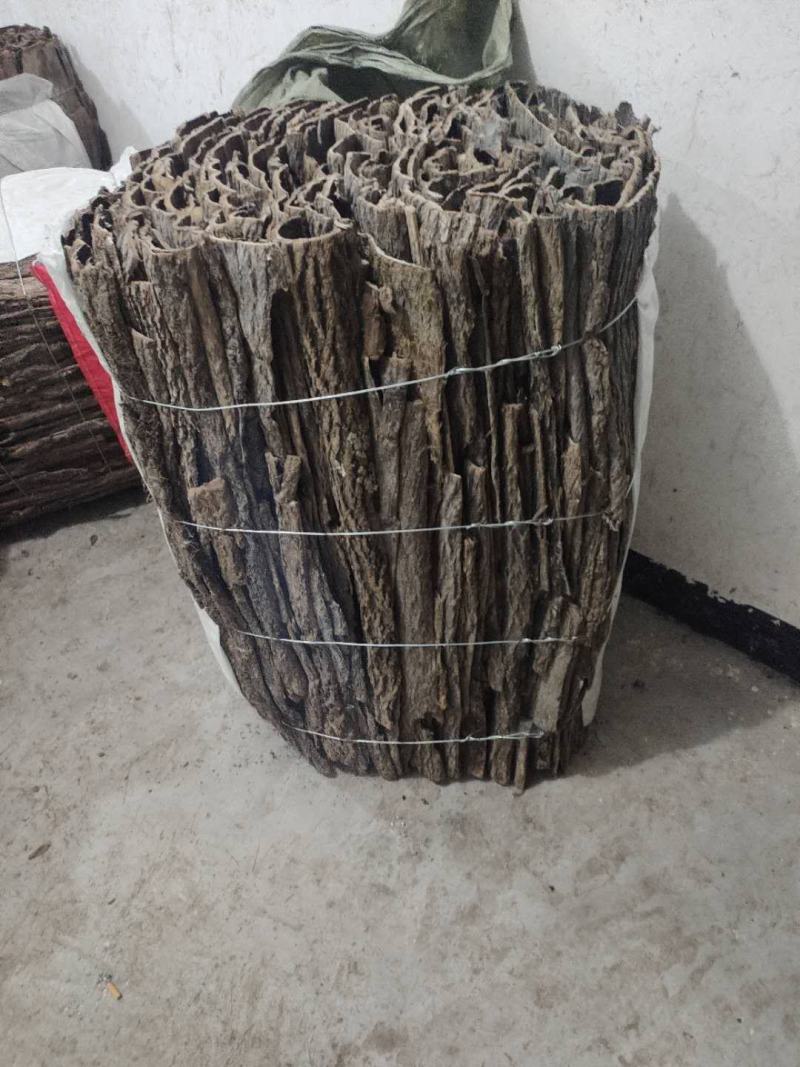杜仲贵州遵义习水厚板皮青统每年都可以组织货按标准规格