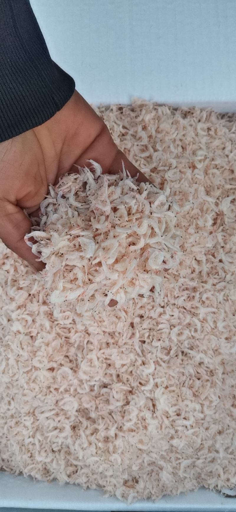 精品淡干无盐虾皮，毛虾，一手货源诚信经营，批发为主！