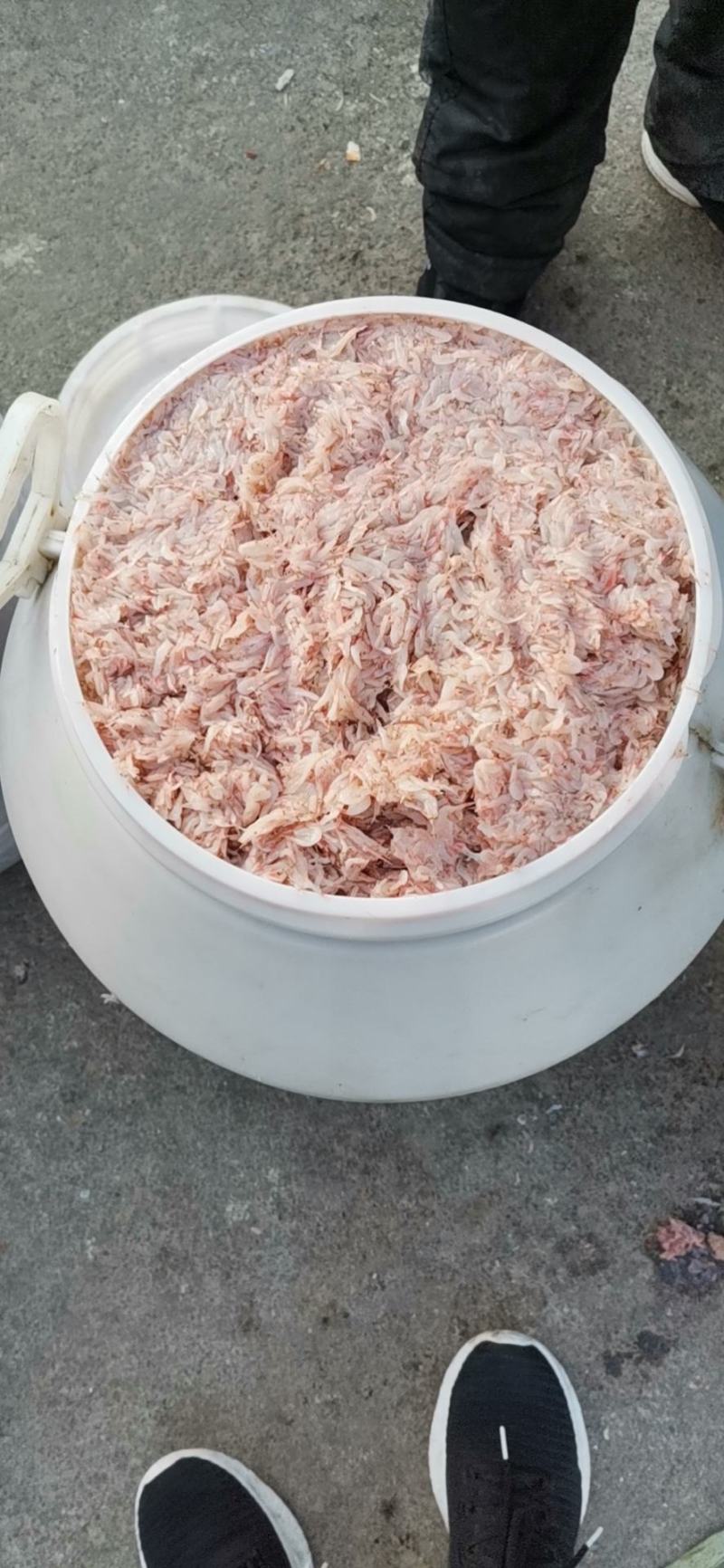 低盐虾酱（纯手工虾酱，自然发酵！大量有货质量保证，）