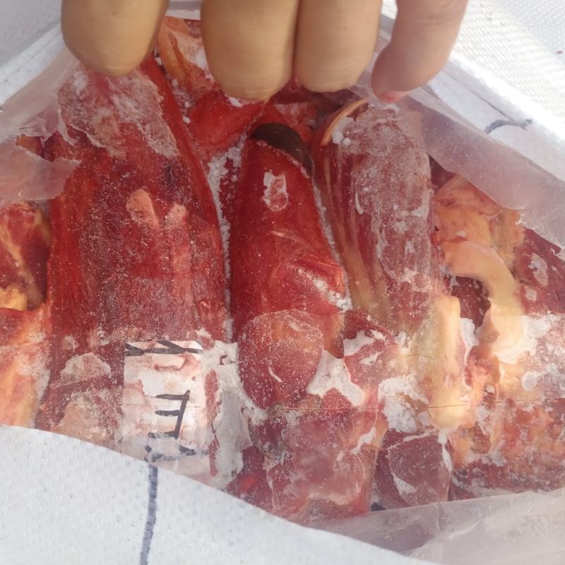 蒙古马肉，五分体蒙古马肉，新日期，成色好，低价出
