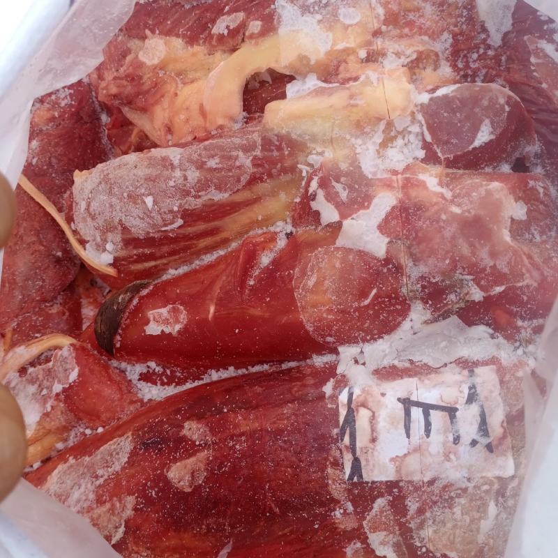 蒙古马肉，五分体蒙古马肉，新日期，成色好，低价出