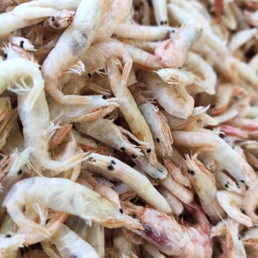 无盐麦秆虾烘干烤大虾皮淡干即食打粉宝宝辅食不咸一箱18斤