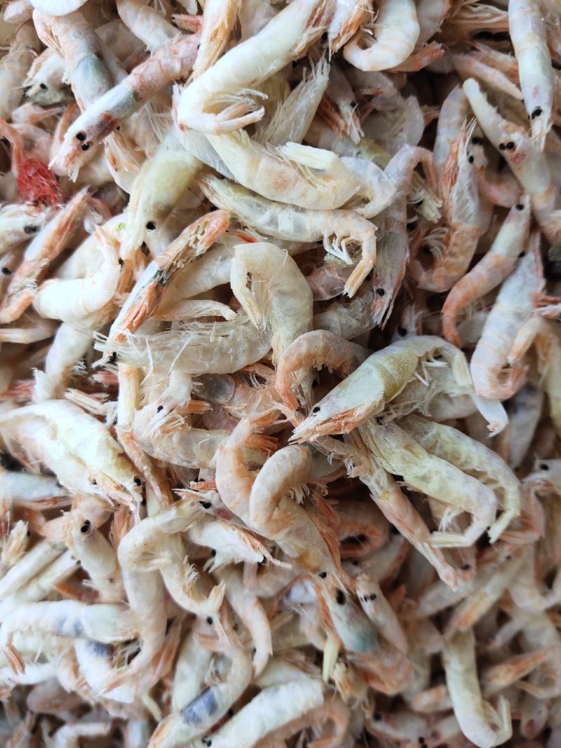 无盐麦秆虾烘干烤大虾皮淡干即食打粉宝宝辅食不咸一箱18斤