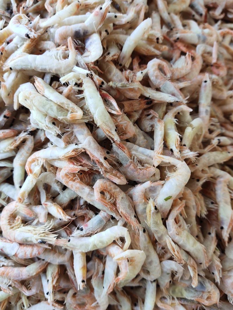 无盐麦秆虾烘干烤大虾皮淡干即食打粉宝宝辅食不咸一箱18斤