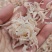 精品虾皮，无盐虾皮，补钙神器，无杂质，可即食