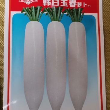 【优质】早春耐热耐抽水果萝卜口感爽脆不倒瓤青皮青肉