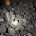 木炭荔枝木炭烧烤木炭烤火炭