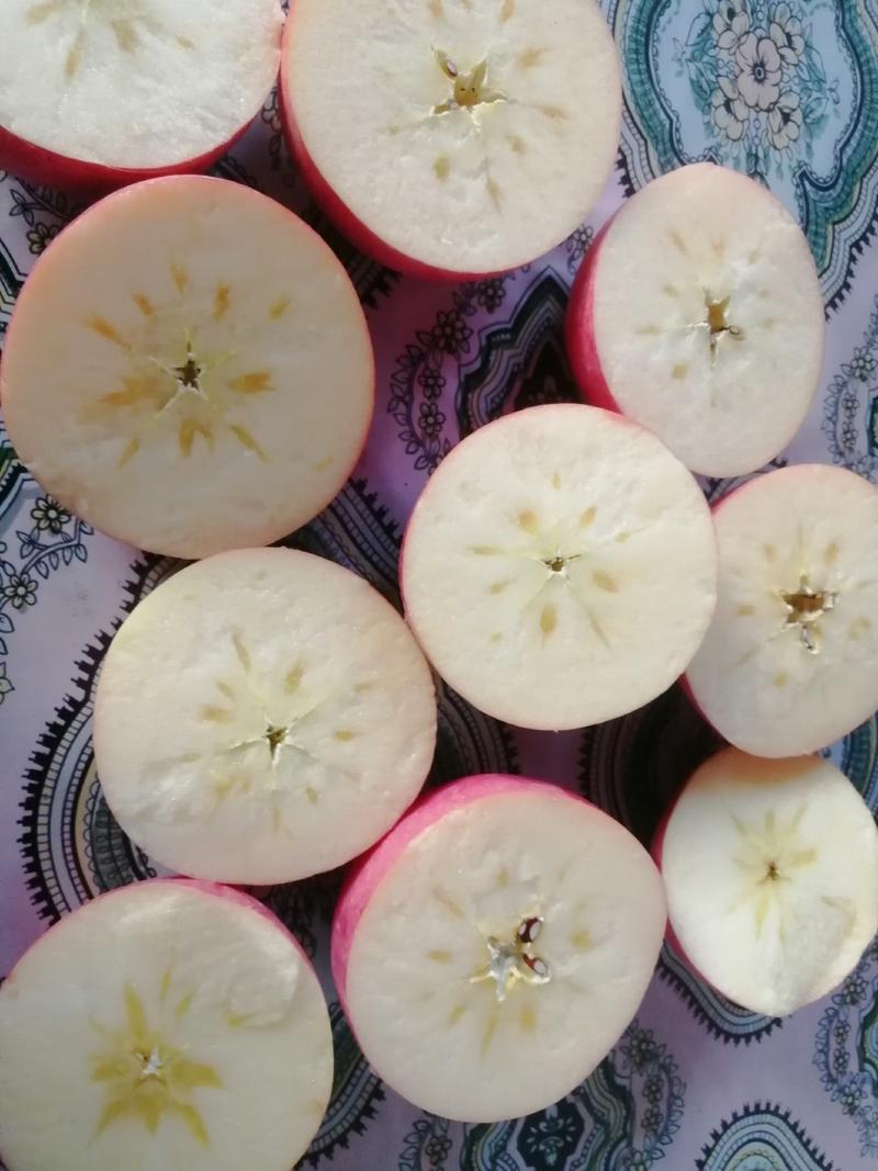 万荣高村纸加膜红富士苹果运城富士苹果高次果套袋苹果