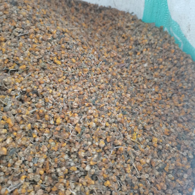 今年新货产地直销山区野菊花500克小菊花山菊花好货价优