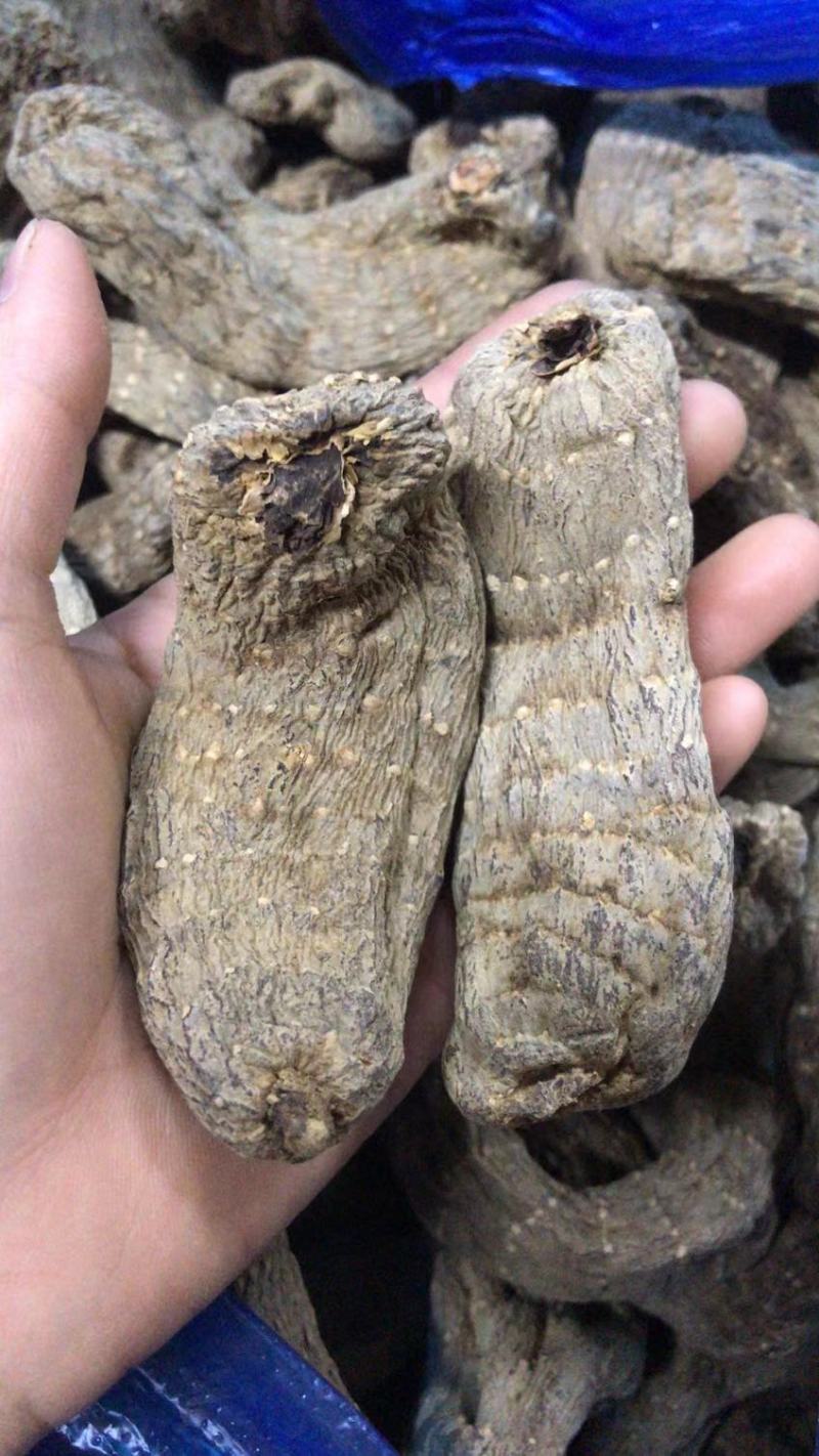 云南红天麻切片乌天麻包邮支持一件代发