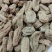 云南红天麻切片乌天麻包邮支持一件代发