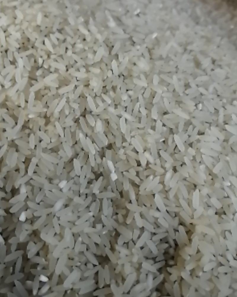 成都市，本地香米，口感带洛，