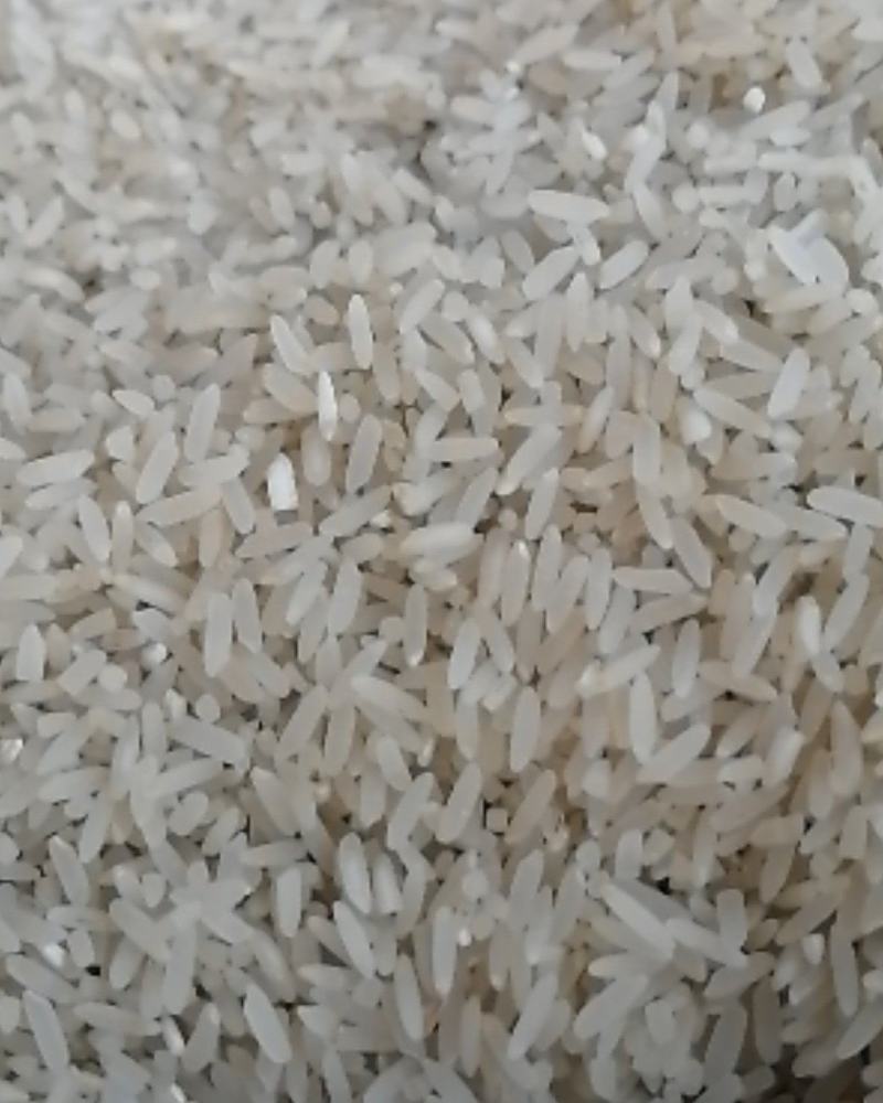 成都市，本地香米，口感带洛，