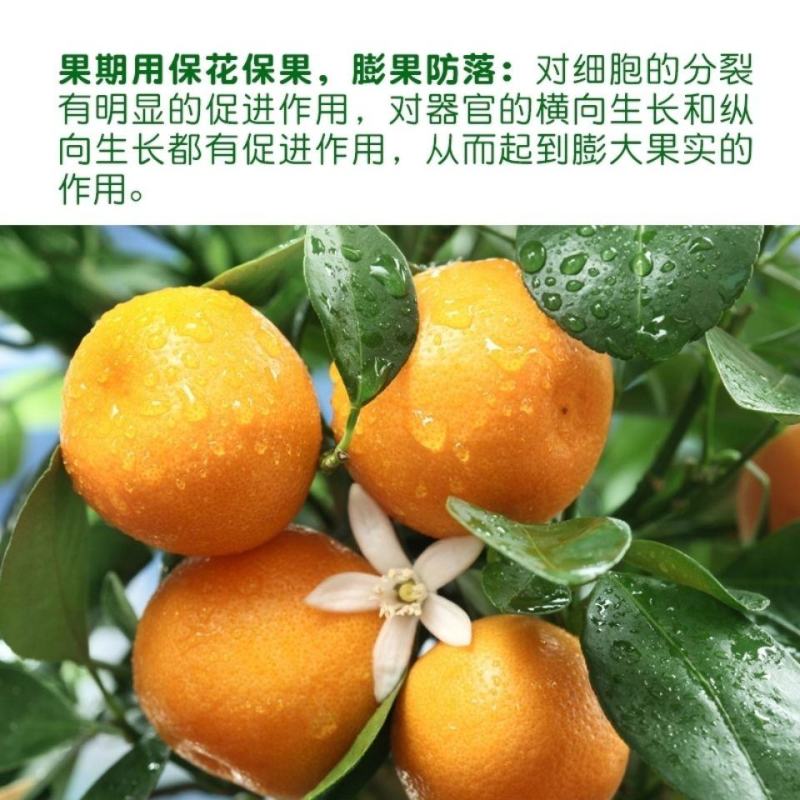 0.01%24表芸苔素内酯正品水稻西瓜植物调节剂