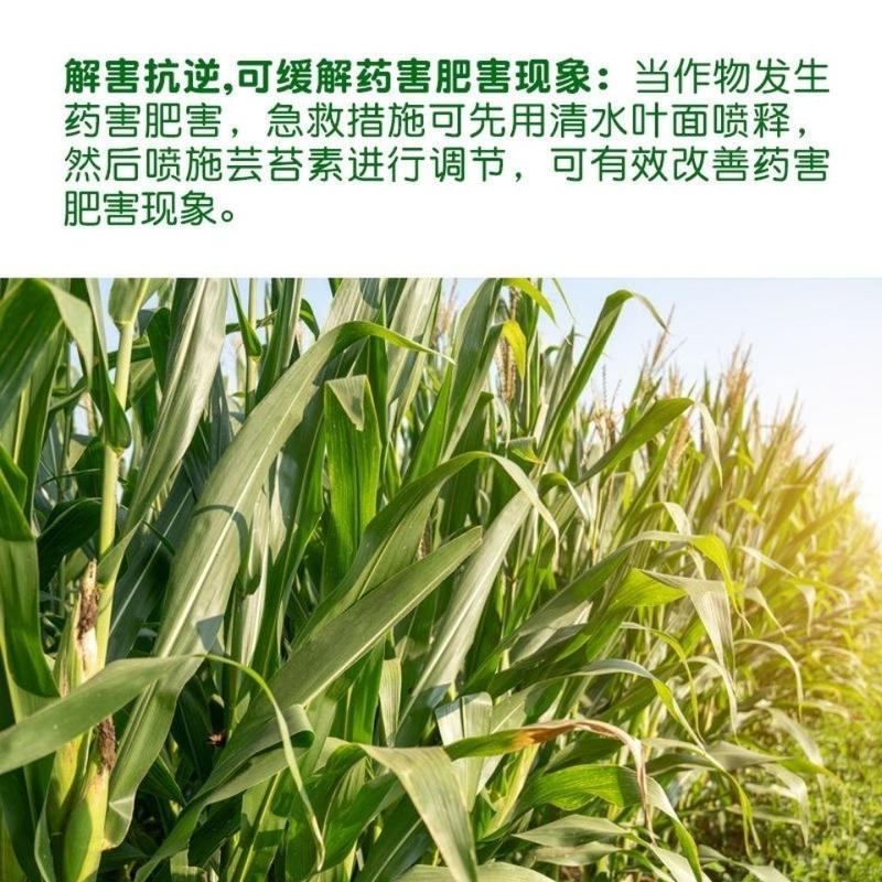 0.01%24表芸苔素内酯正品水稻西瓜植物调节剂