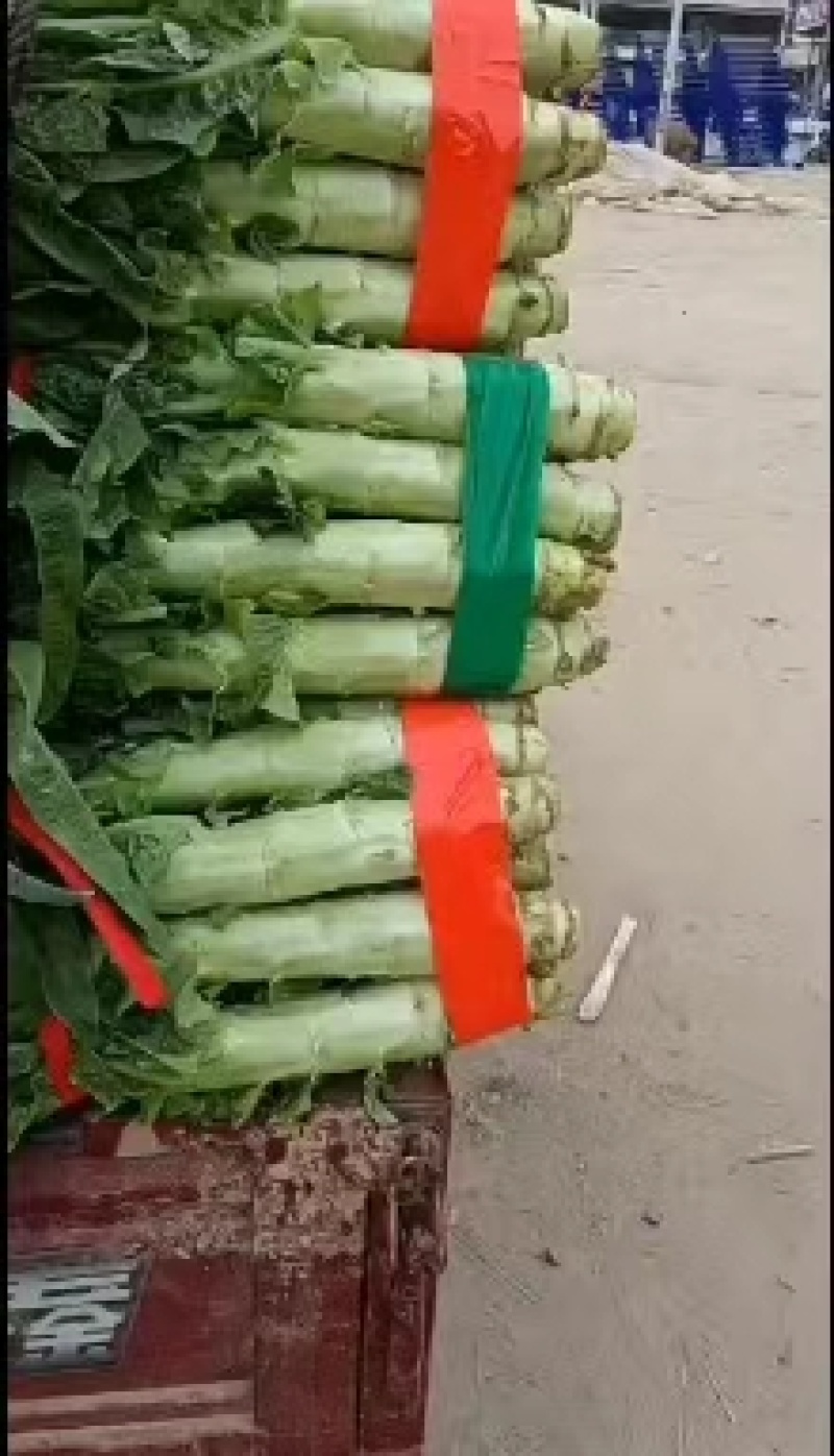 以下品种，欢迎各位老板下单
