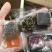 云南古方黑糖玫瑰桂花原味老姜口味齐全500克