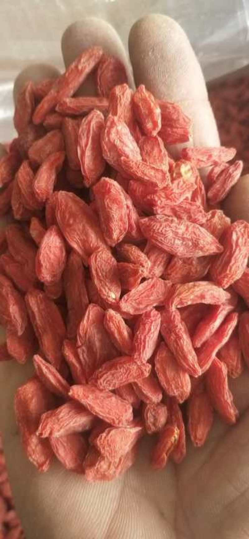 青海的品质特别好需要的联系