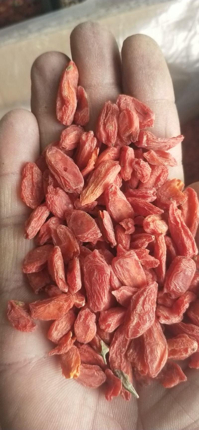 青海的品质特别好需要的联系