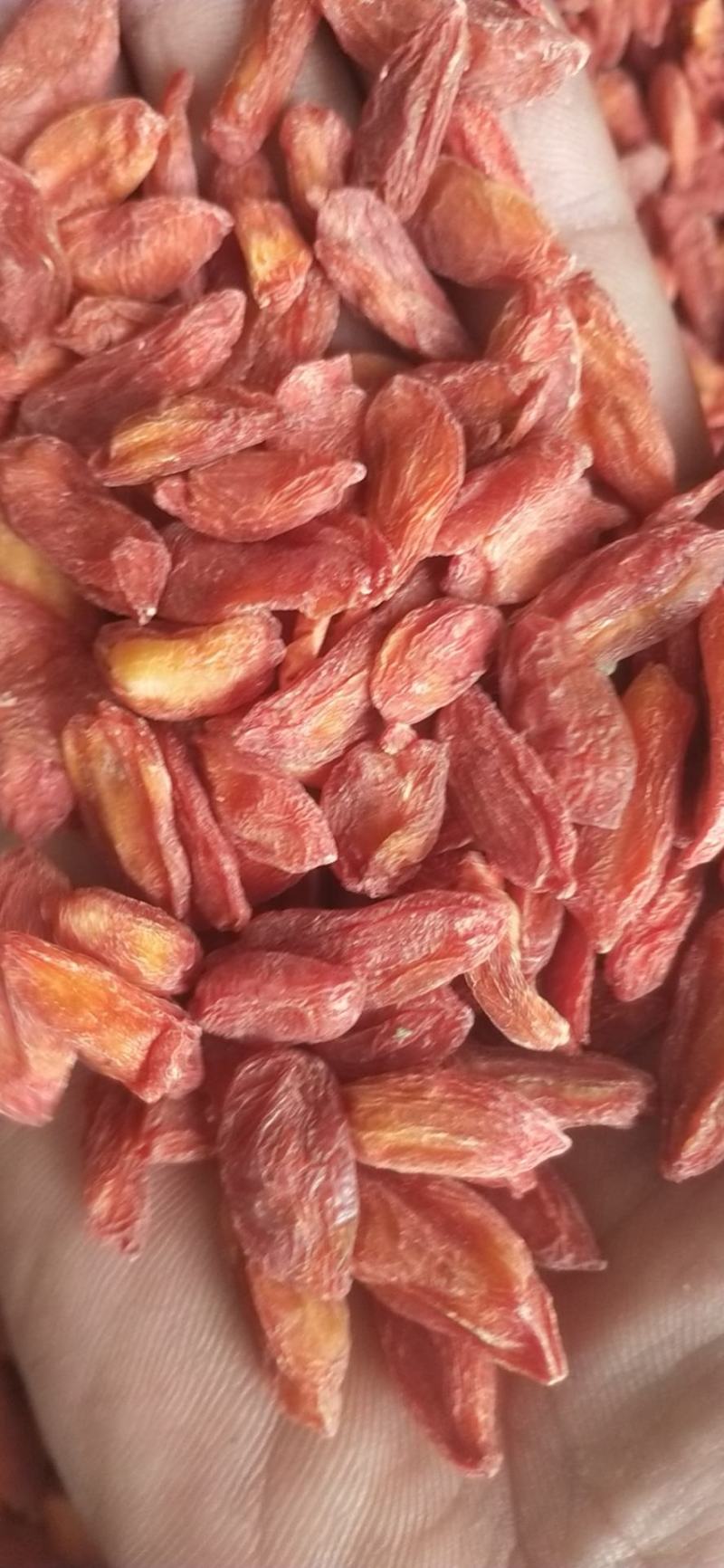 青海的品质特别好需要的联系