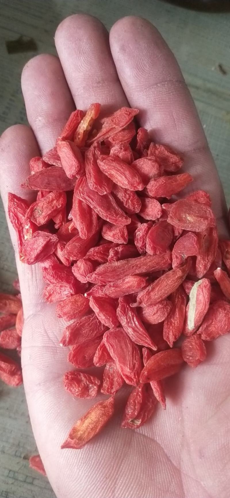 青海的品质特别好需要的联系