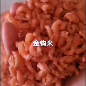 优质金钩米大量有货物美价廉欢迎订购