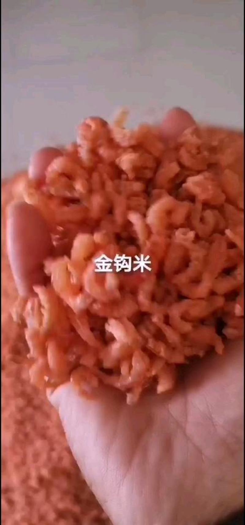 优质金钩米大量有货物美价廉欢迎订购