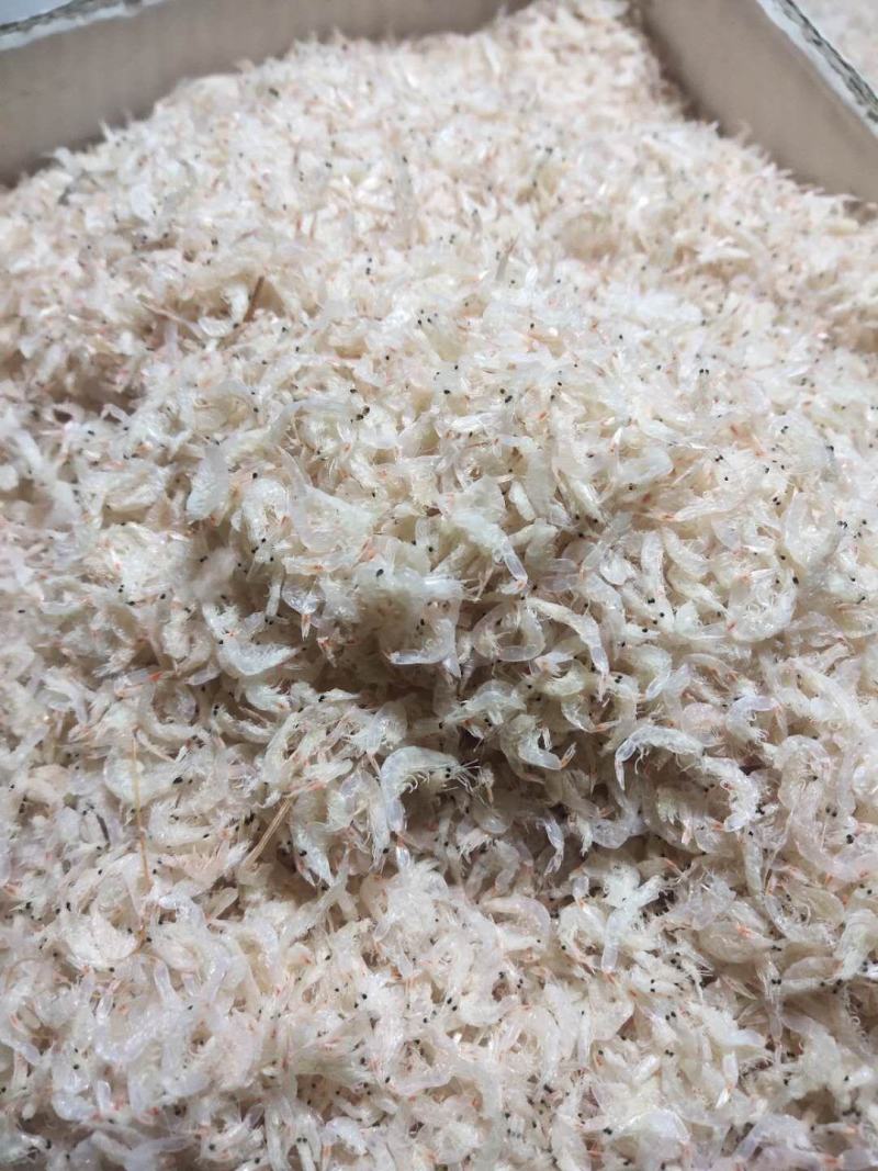 精品淡干无盐虾皮，毛虾，一手货源诚信经营，批发为主！