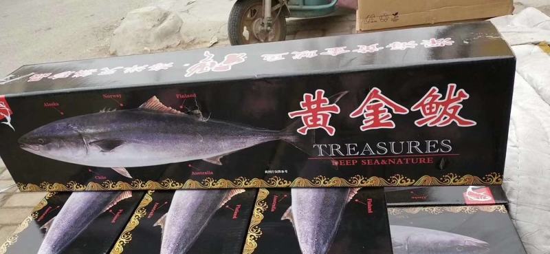 冻货深海鱼黄金大鲅鱼一条12斤到20斤左右大量有货