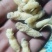 树蜂一级二级混合生冻熟冻蜂蛹，生冻，熟冻，蒸货