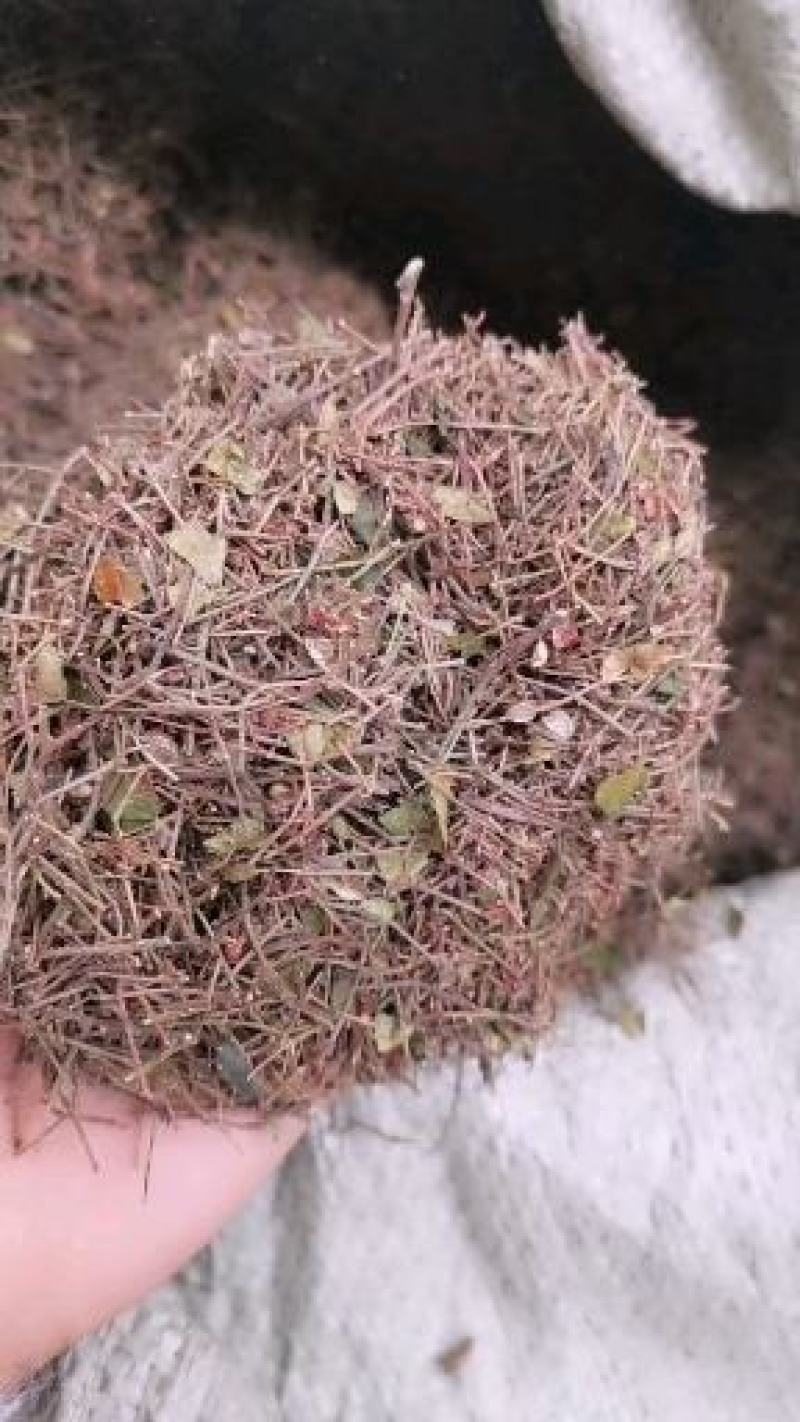 实图拍摄百万商家花精品大红袍花椒根据客户需求花椒粉面优惠