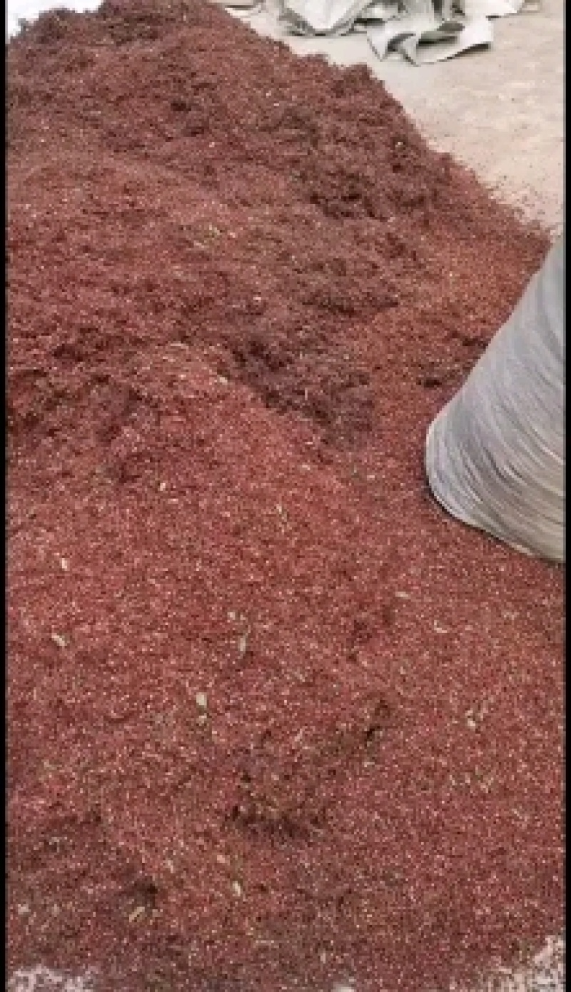 实图拍摄百万商家花精品大红袍花椒根据客户需求花椒粉面优惠