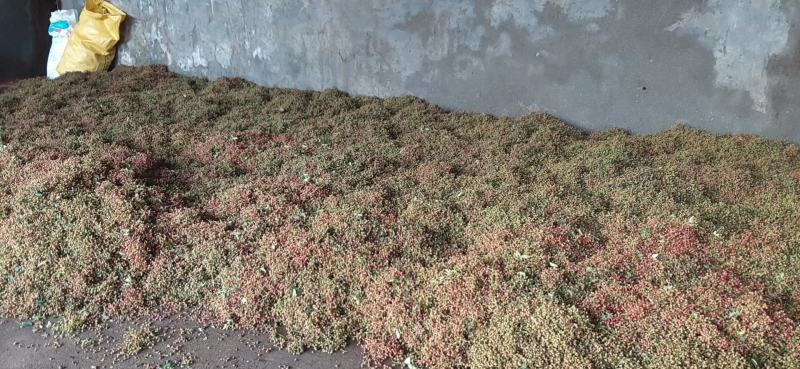 实图拍摄百万商家花精品大红袍花椒根据客户需求花椒粉面优惠