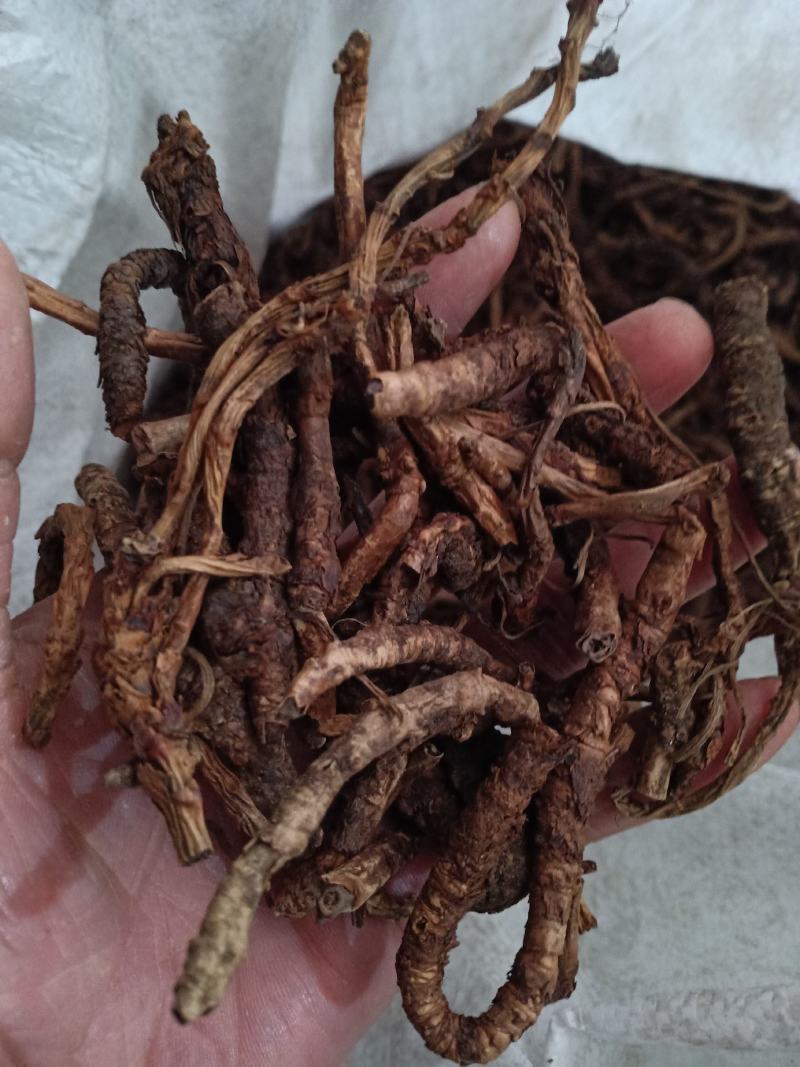 胡黄莲，正品西藏产野生胡黄莲，质量保证！欢迎咨询选购！