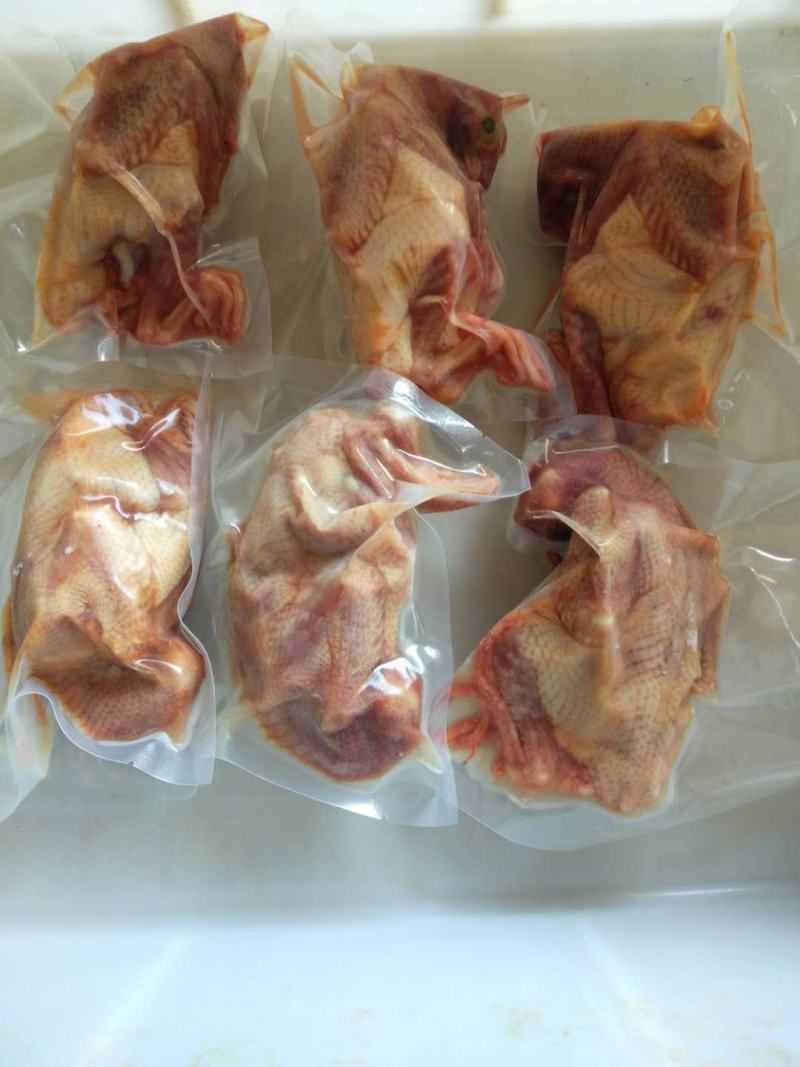 【品质推荐】新鲜白色乳鸽，现杀现发，厂家直发，价格可议