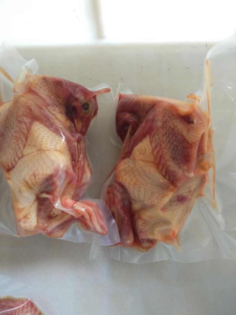 【品质推荐】新鲜白色乳鸽，现杀现发，厂家直发，价格可议